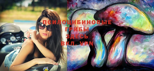 винт Аркадак