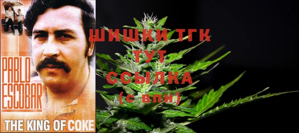 винт Аркадак