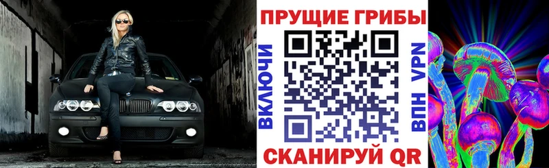 Псилоцибиновые грибы GOLDEN TEACHER  где продают наркотики  Хилок 